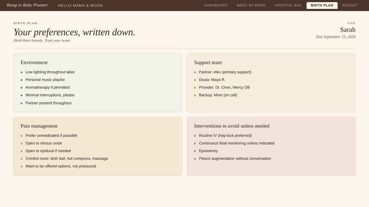 Birth Plan tab — preferences for environment, support, pain management, and interventions